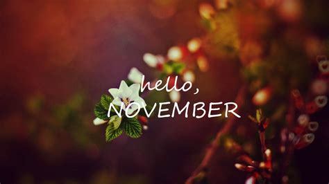 Hello November Quotes Hd