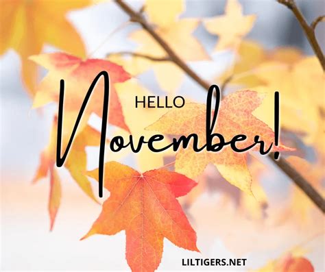 Hello November Quotes Images