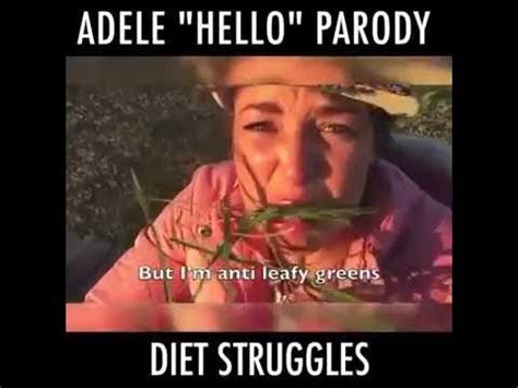 Hello Parody Diet