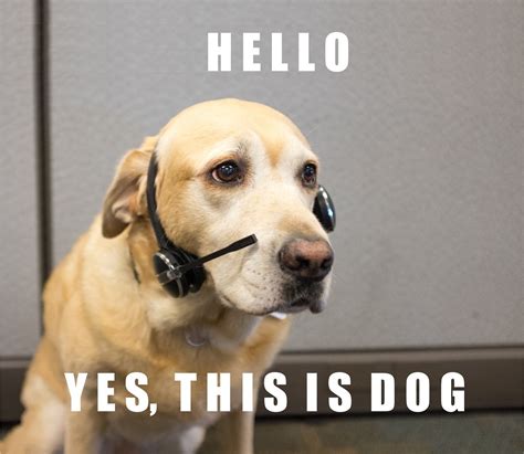 Hello Yes This Is Dog Meme
