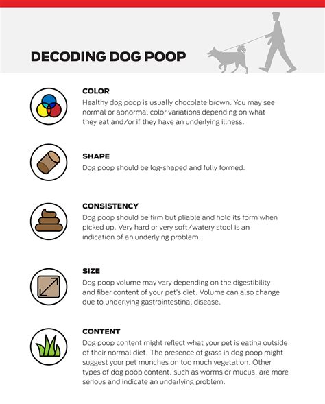 Help A Dog Poop