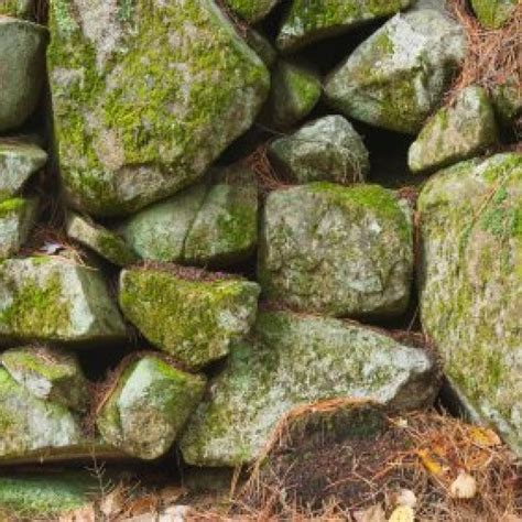 Help to create Moss in Rocks - Building Support - DevForum | Roblox