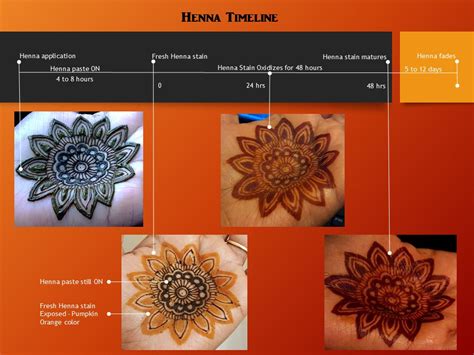 Frequently Asked Questions (FAQ) About Light Mountain Henna