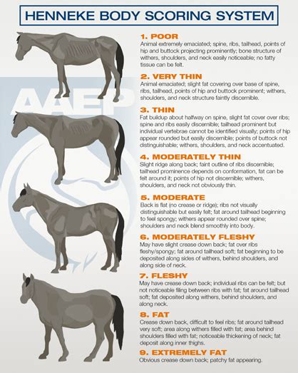 Henneke Body Condition Scoring Chart