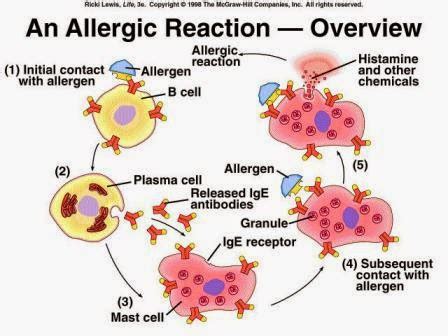 Hentikan Penggunaan Jika Terjadi Reaksi Alergi