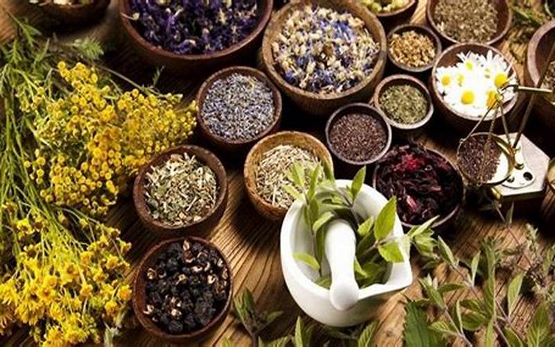 Herbal Dan Obat Tradisional