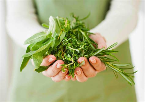 Cooking with fresh herbs, explained UCHealth Today