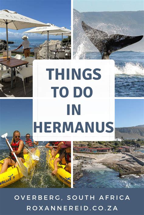 Hermanus activities
