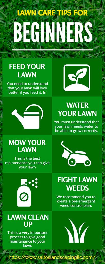 Hermitage TN Lawn Care Tips