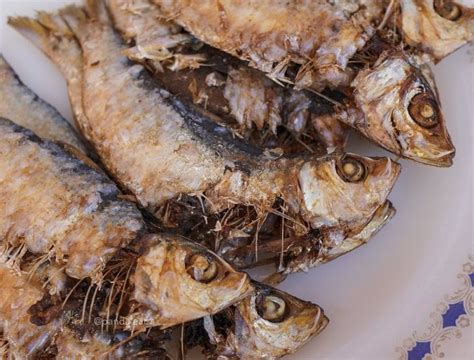Herring Fish Tagalog
