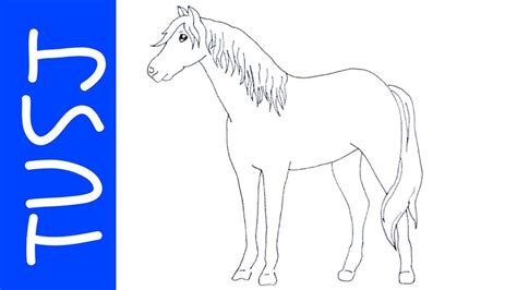 Hest Tegning Enkel