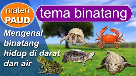 Mengenal Kepelbagaian Fauna di Indonesia