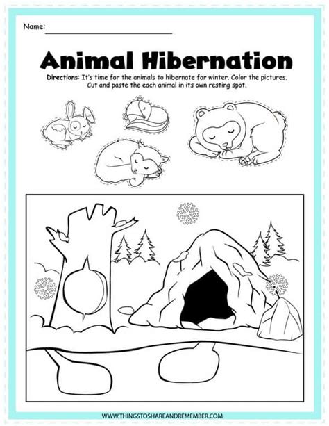 Hibernation Cut And Paste Worksheet
