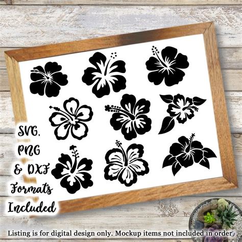 Download Hibiscus Bundle Cameo