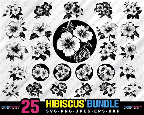 Download Hibiscus Bundle Commercial Use DXF Files
