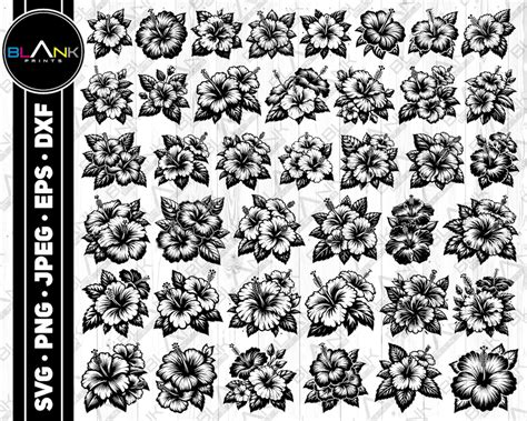 Download Hibiscus Bundle Commercial Use For Crafts