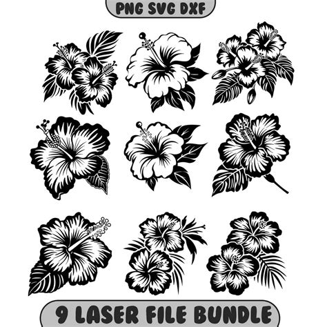 Download Hibiscus Bundle Creativefabrica DXF Files
