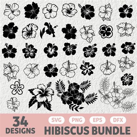 Download Hibiscus Bundle Cut Files
