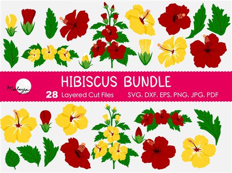 Download Hibiscus Bundle Cut Images