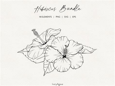 Download Hibiscus Bundle Printable