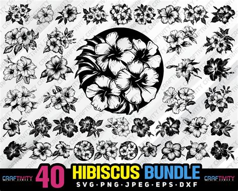 Download Hibiscus Bundle Silhouette DXF Files