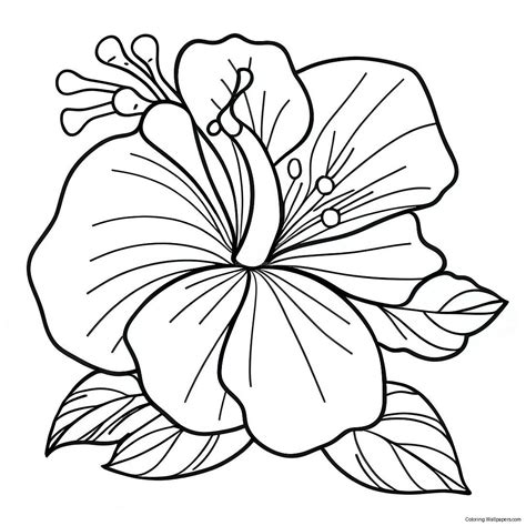 Hibiscus Flower Coloring Page