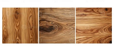 Hickory