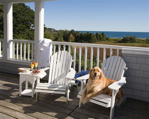 5 Dog Friendly Resorts you can't Ignore