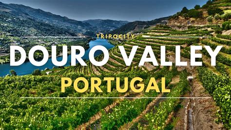 Hidden Gems Douro Valley
