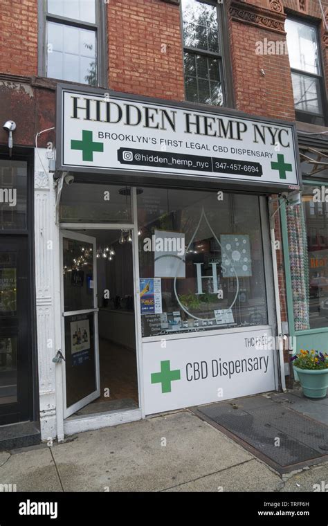 Unveiling the Enigmatic Charm of Hidden Hemp Park Slope: Exploring the Richness of Brooklyn's Best-Kept Secret