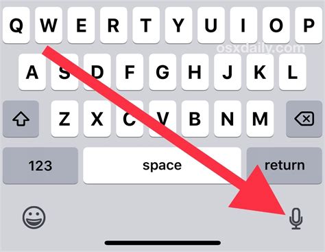Hide Microphone Icon from Keyboard on iPhone/iPad