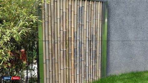 Hidrasi Bambu