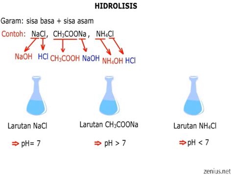 Yang Dimaksud dengan Hidrolisis pada Larutan Garam Adalah…