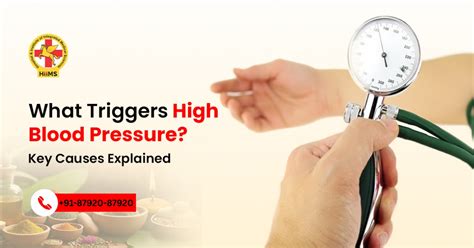 High Blood Pressure: 12 Key Causes