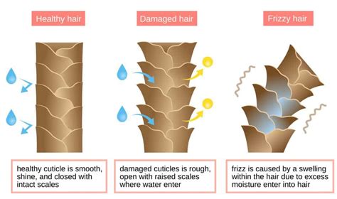 The Science Behind the Damage: Main Causes of Bubble Hair
