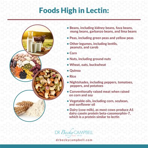 High Lectin Foods Chart