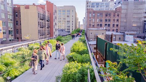 High Line Tour Options