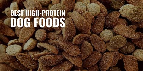 Boost Your Furry Friend's Health and Happiness with Premium High Protein Dog Food!
