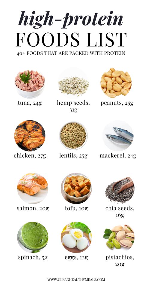 High Protein Foods