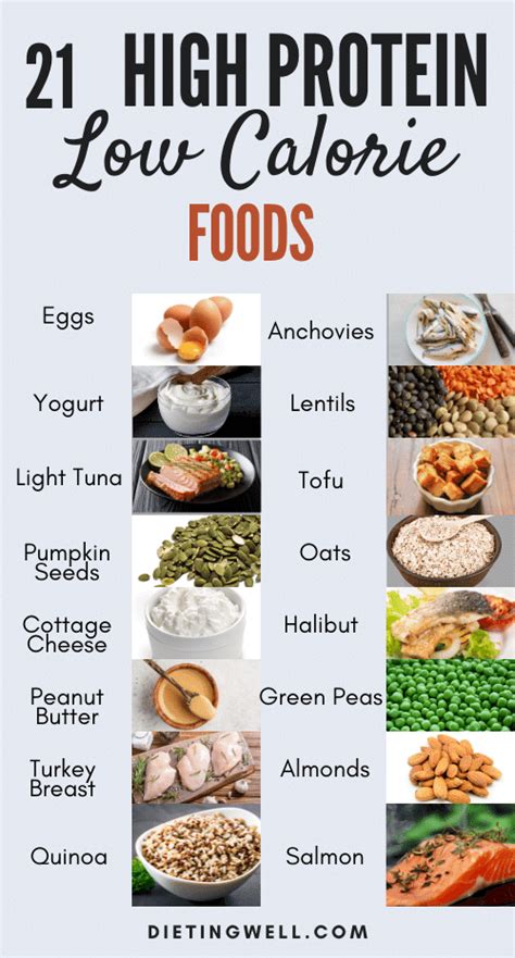 Fuel Your Body with Nutritious Delights: The Exceptional Benefits of High Protein, Low Calorie Foods.