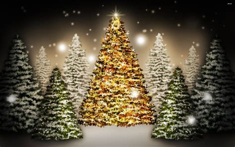 High Resolution Christmas Tree Background Images