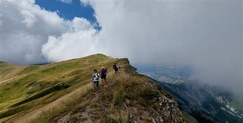High Scardus Trail Daily Hike