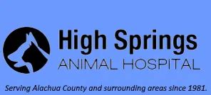 Expert Care for Your Furry Friends: High Springs Animal Hospital
