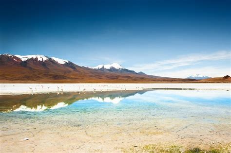 High-Altitude Lagoons Bolivia