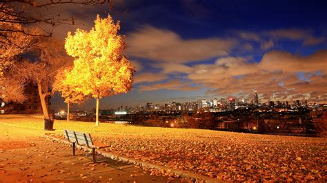 High-Quality Background Images