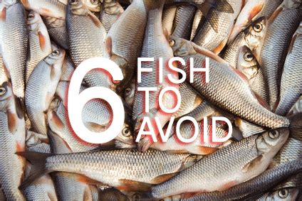 High-mercury fish to avoid