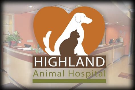 Expert Care for Your Furry Friend: Highland Animal Hospital in Slatington, PA