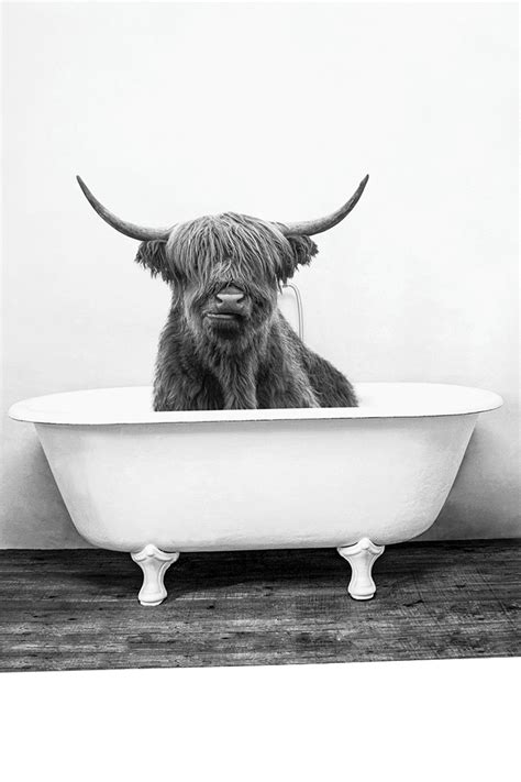 Highland Cow In Bathtub Printable