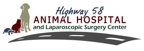 Highway 58 Animal Hospital: Top-Quality Care for Your Furry Friends