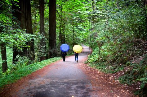 Hikers Prepared For Weather